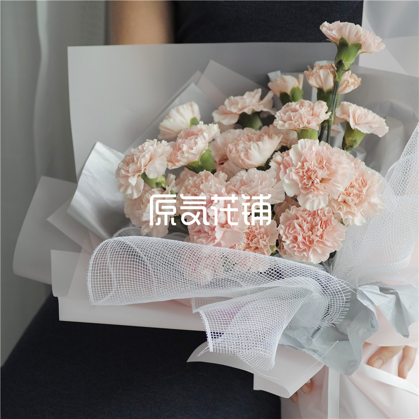 原气花铺-花店-上海-北京淡然--淡粉色康乃馨花束-3