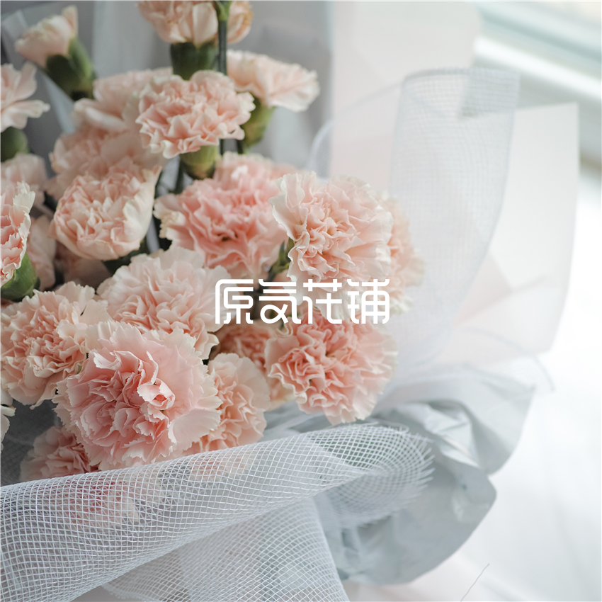 原气花铺-花店-上海-北京淡然--淡粉色康乃馨花束-5