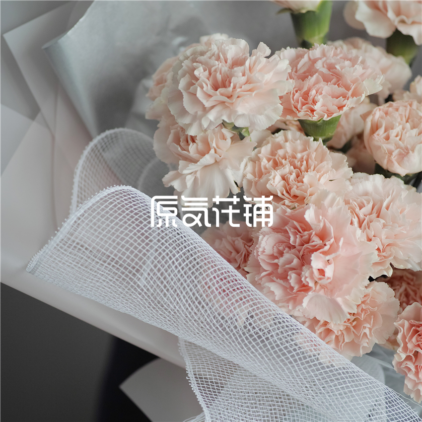 原气花铺-花店-上海-北京淡然--淡粉色康乃馨花束-7