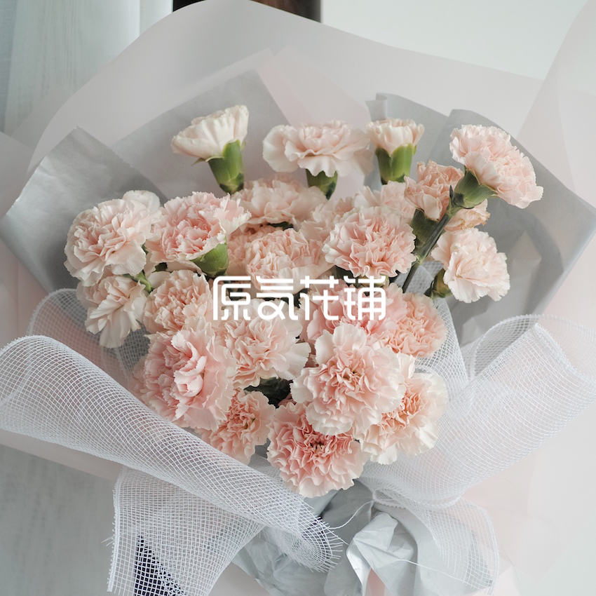 原气花铺-花店-上海-北京淡然--淡粉色康乃馨花束-1