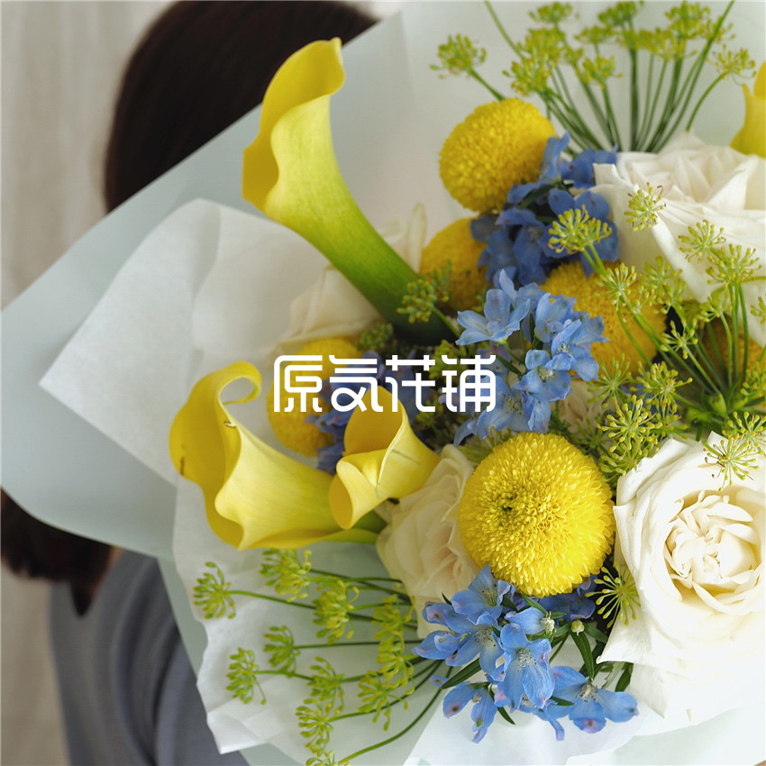 莫吉托 海芋荔枝玫瑰飞燕草乒乓菊花束 莫吉托 海芋荔枝玫瑰飞燕草乒乓菊花束