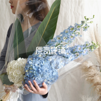飞鸟--飞燕绣球天堂鸟叶花束