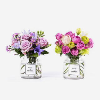 双子座 ·「幻妙」开运花