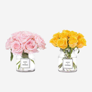 双子座 ·「幻妙」开运花