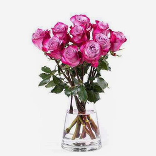 双子座 ·「幻妙」开运花