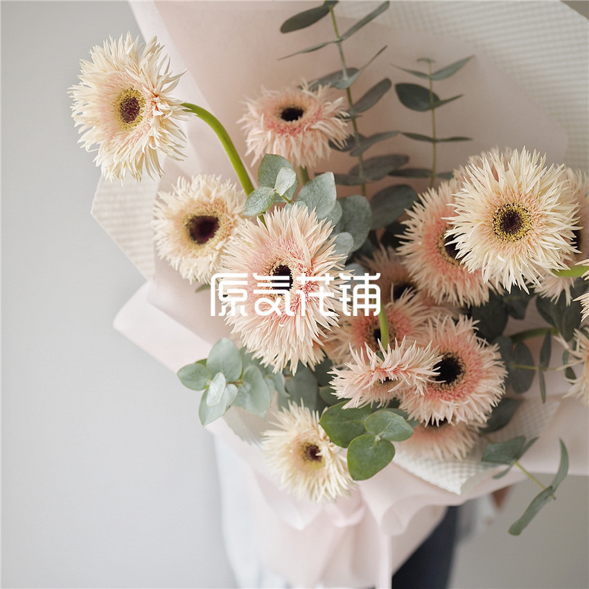 原气花铺-花店-上海-北京那些花儿--淡粉色拉丝弗朗花束-5