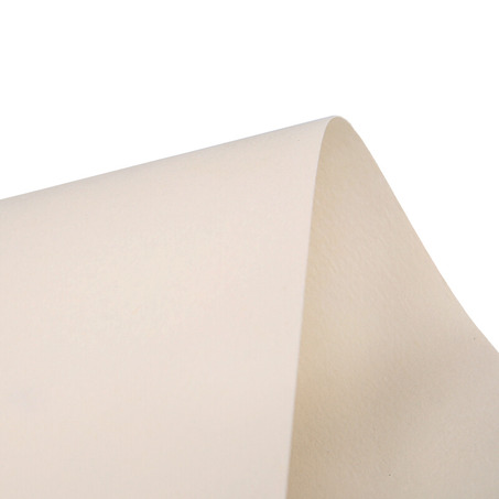 晨光(M&G)4K/160g美术专用水粉纸原木浆强韧绘画纸 20页/袋APYMW268-3