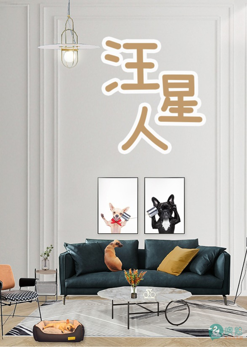 汪星人    少女主题