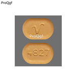 4827v 4829v Ngryise Punch Press Die Mold