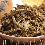 15usd Ngryise 300gram Plantago depressa Willd zhongyao
