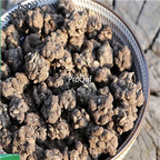 15usd Ngryise 10pcs Ranunculus ternatus root