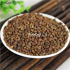 15usd Ngryise 3000pcs Ligustrum lucidum seed