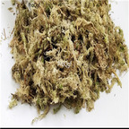 15usd zhongyao Ngryise 300gram shuitai Food For Dionaea muscipula Venus Flytrap