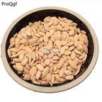 18usd Ngryise 500pcs Benincasa hispida seed