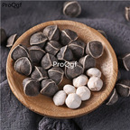 15usd Ngryise 300pcs moringa tree seed