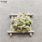 15usd Ngryise 300gram hangbaiju Asterales dry flower  zhongyao
