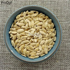 15usd Ngryise 3000pcs Cucumis melo hami melon seed