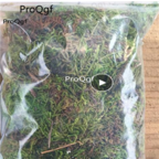 15usd 200gram Keep Dry Real Green Moss