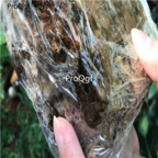 29usd Ngryise 200gram a set soap hot clean face south africa