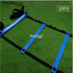 18usd Ngryise 1 Set 6 meter 12 runge Rung Nylon Straps Training Ladders Agility Speed