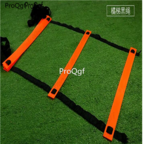 19usd Ngryise 1 Set 8 meter 16 runge Rung Nylon Straps Training Ladders Agility Speed