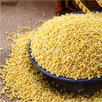 15usd Ngryise 300gram yellow rice