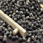 29usd Ngryise 1000pcs Vitex trifolia seed