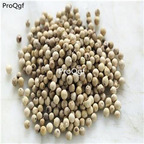 16usd Ngryise 300gram  Piper Nigrum