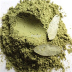 6usd Ngryise 100gram Folium Sennae powder