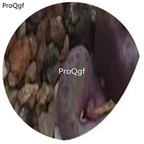 180usd Ngryise 30Pcs A Set Conophytum pageae Flower Seed