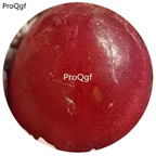 180usd Ngryise 30Pcs A Set dark red color Conophytum burgeri Flower seed