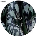 180usd Ngryise 30pcs a set  Conophytum ursprungianum Flower Seed