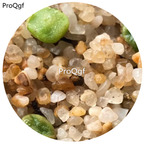 160usd Ngryise 20Pcs A Set Conophytum  1410.657  Seed