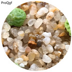 160usd Ngryise 20Pcs A Set Conophytum  C.angelicae PVB9479 Seed