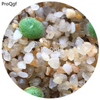 160usd Ngryise 20Pcs A Set Conophytum  LAV.26767A seed