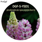 15usd Ngryise 500Pcs A Set Pink White Double Color Lupiuns Polyphyllus Flower hot Seed DGF-S-YSD1
