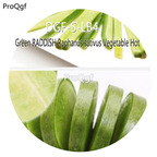 16usd Ngryise 2000Pcs A Set Green RADDISH Raphanus sativus Vegetable Hot Seed DGF-S-LB4