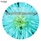 16usd Ngryise 3000Pcs A Set Light blue color ASTER FLOWER Callistephus chinensis flower hot Seed DGF-S-CJ13