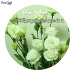 16usd Ngryise 3000Pcs A Set White Color Eustoma Grandiflorum Flower Recommend Item hot Seed DGF-S-JG4