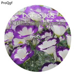 16usd Ngryise 3000Pcs A Set White With Purple Edge Eustoma Grandiflorum Flower Recommend Item hot Seed DGF-S-JG5