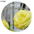 16usd Ngryise 3000Pcs A Set Yellow Color Eustoma Grandiflorum Flower Recommend Item hot Seed DGF-S-JG6