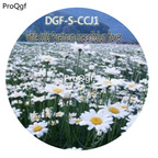 16usd Ngryise 5000Pcs A Set White color Pyrethrum Cinerariifolium Flower Seed DGF-S-CCJ1
