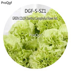 16usd Ngryise 5000Pcs A Set GREEN COLOR Dianthus Caryophyllus Flower hot Seed DGF-S-SZ1