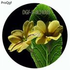 18usd Ngryise 100Pcs A Set Light Yellow Color Primula Malacoides Flower Hot Seed DGF-S-BCHD03