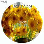 18usd Ngryise 100Pcs A Set Yellow Color Bellis Perennis Flower Hot Seed DGF-S-CJDD5