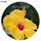 18usd Ngryise 100Pcs A Set Yellow Color Hibiscus Moscheutos Flower Hot Seed DGF-S-FRKD5