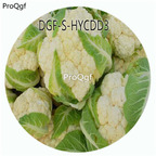 18usd Ngryise 100Pcs A Set White Color Brassica Oleracea Botrytis Vegetable Hot Seed DGF-S-HYCDD3