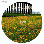 18usd Ngryise 3000Pcs A Set Coreopsis Drummondii Flower Hot Seed DGF-S-JJJDD1