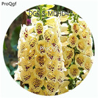 19usd Ngryise 3000Pcs A Set Yellow Color Digitalis Purpurea Flower Hot Seed DGF-S-MDHD4