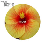 19usd Ngryise 500Pcs A Set  orange with yellow edge Hibiscus Syriacus Flower Seed Hot
